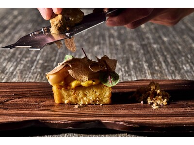 【ウェスティンホテル横浜】この時期しか味わえない希少な白トリュフを使用した特別コース「White Truffle Dinner Experience」をアイアン・ベイで提供