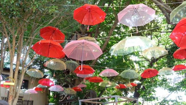 千葉市初 ツリーハウスの森カフェ 椿森コムナ が梅雨でもワクワク 0本の傘で彩る傘の森に 記事詳細 Infoseekニュース