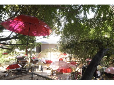 千葉市初！ツリーハウスのある森カフェ「椿森コムナ」。いよいよ始まる！400本の傘が天空を覆う「傘の森」。