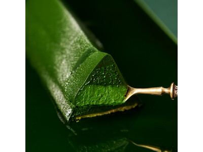 【ご好評につき、200個限定で追加製造決定】日本で唯一無二の“濃厚な5種類の抹茶”を堪能する、衹園辻利のクリスマスケーキ「抹茶ショコラノエルプレミアム」