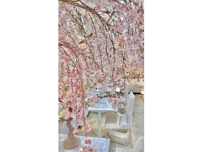 しだれ桜の饗宴と狂宴