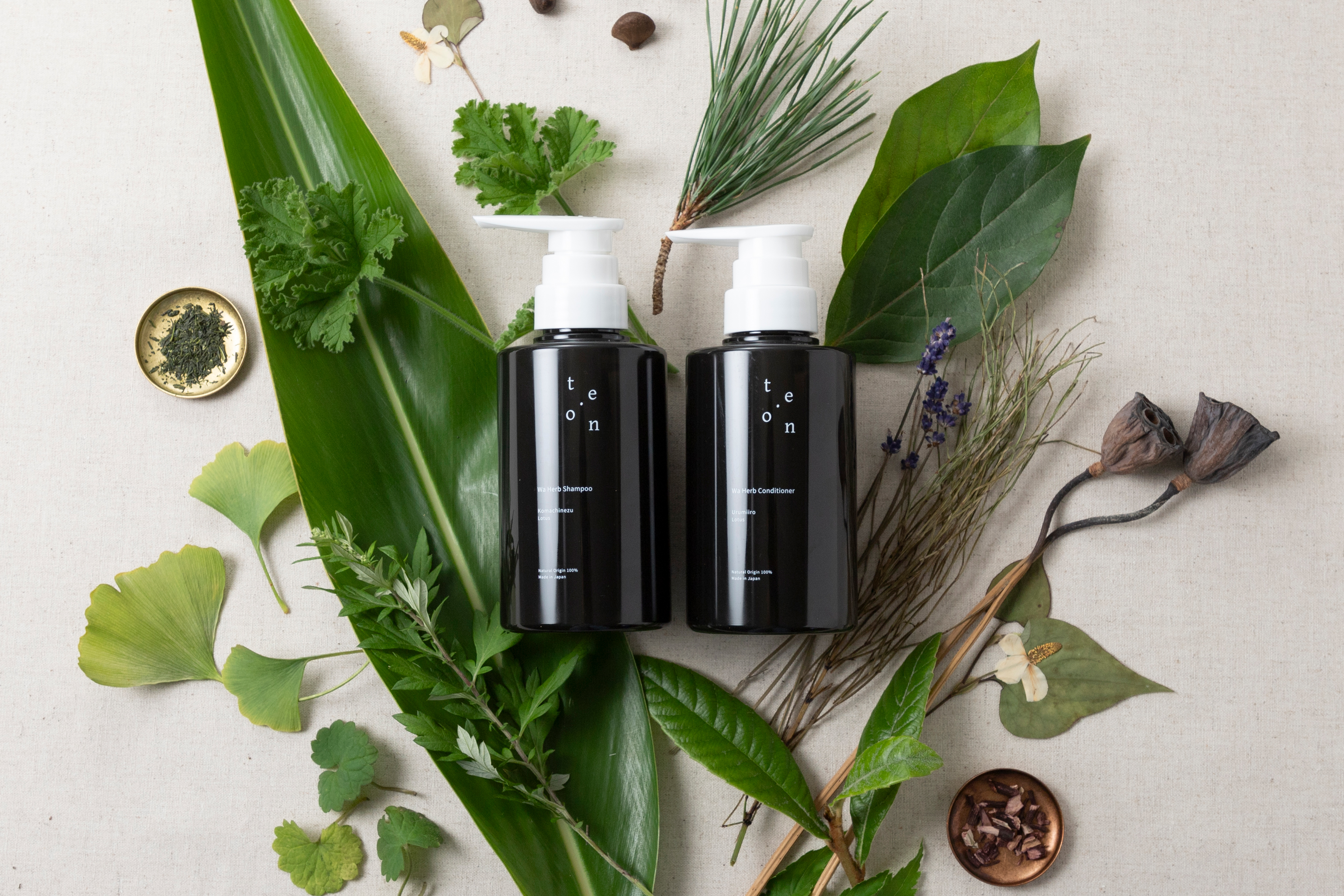 鹿児島発・100%自然由来のコスメブランド『te.on(テオン)』ロゴを刷新し、和ハーブ×生オイルの新体験シャンプー＆コンディショナーを発売！