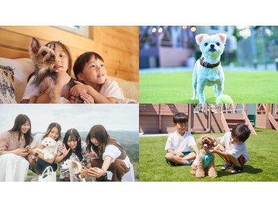 ワンちゃんと楽しむ体験イベント『Fan Fun Day 2025』人気のペット撮影スタジオやショップなどコラボ企業が続々決定