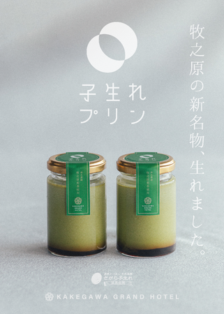 「食べる煎茶」ホテルパティシエ監修の茶葉香るスイーツ「子生れプリン」6/6発売！森木農園牧之原煎茶使用
