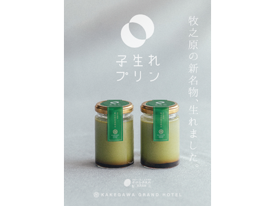 「食べる煎茶」ホテルパティシエ監修の茶葉香るスイーツ「子生れプリン」6/6発売！森木農園牧之原煎茶使用