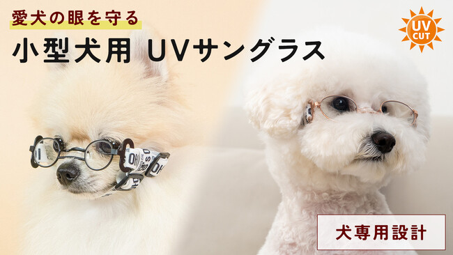 犬のために専用設計された、本気のUVカットサングラスをMakuakeプロジェクトにて先行予約開始