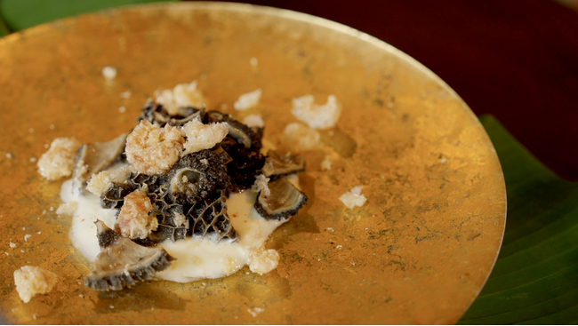 【沖縄県モニターツアー】生命力あふれる、美味なる島の恵みをあなたのエネルギーに。「いのちよろこぶ沖縄美食旅」