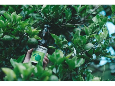 別府ブルワリー、インターナショナル・ビアカップ2024で「Kabosu Saison」が金賞、「Beng...