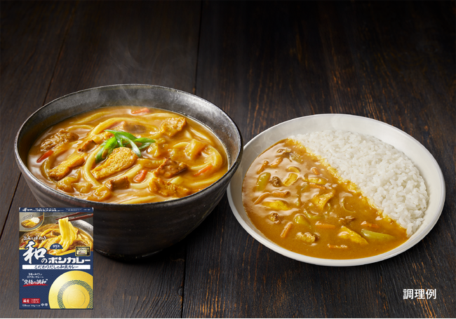 麺でもごはんでも！だしとカレーの究極の調和「旨みを味わう和のボンカレー　こだわりだしの和風カレー」