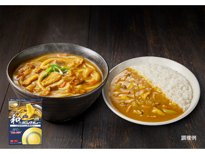 麺でもごはんでも！だしとカレーの究極の調和「旨みを味わう和のボンカレー　こだわりだしの和風カレー」