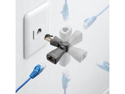 �����z���Ɋv���I�z���̔Y�݂���]�ŉ�������LAN���p�A�_�v�^�𔭔�