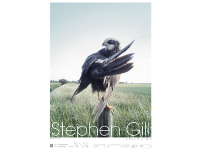 スティーブン・ギルの展覧会『Stephen Gill』が虎ノ門のart cruise galleryで開催
