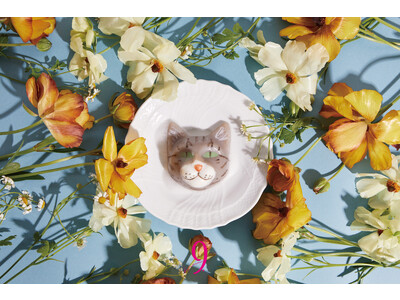 パーソナライズ石鹸ブランド「9.kyuu」より毎月生まれる「限定猫石鹸」5月9日生まれの“サバトラ猫の『スペラ』”が発売