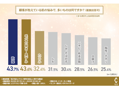 【肌の悩みとサロン専売化粧品」に関する調査】約4割が化粧水が評判と回答。顧客が悩んでいる症状とは？