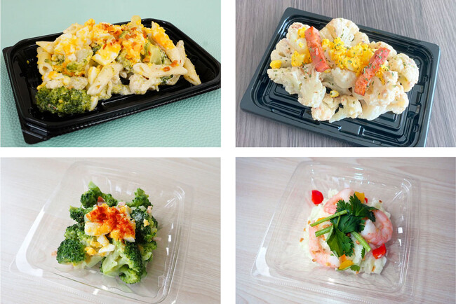 【ケンコーマヨネーズグループ各社｜新商品】「サラダが主役になるドレッシング」で”サラダ料理”を4品展開　食材の美味しさを最大限に引き出す