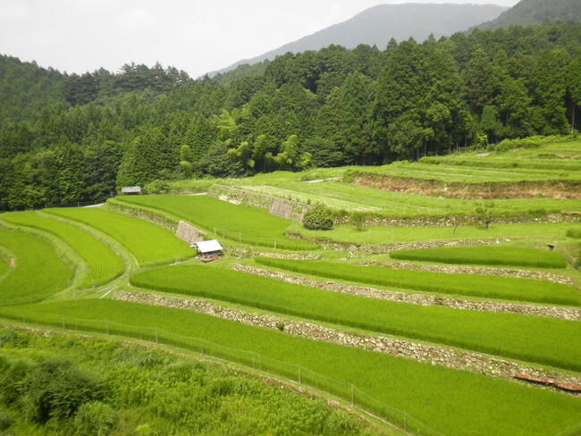 近畿農政局「ディスカバー農山漁村（むら）の宝」(第８回)選定 「コミュニティ・地産地消部門」選定証授与式、意見交換会