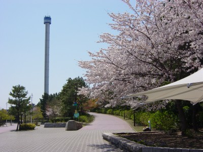 【横浜・八景島シーパラダイス】桜満開！行楽日和「親子３世代でシーパラを楽しもう♪」