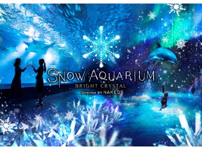 マクセル アクアパーク品川 オーロラにつつまれる 雪と氷の世界 Snow Aquarium Bright Crystal Directed By Naked １２月２６日より開催 企業リリース 日刊工業新聞 電子版