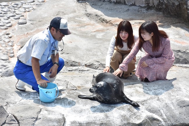 横浜 八景島シーパラダイス 魅力ある 近場旅 をご提案 横浜市の魅力を再発見 新横浜プリンスホテルとコラボレーションした宿泊プラン販売中 記事詳細 Infoseekニュース