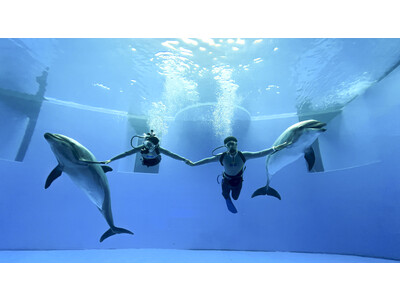 【上越市立水族博物館】『うみがたり』ならでは冬のドルフィンパフォーマンス開催！水中ドルフィンパフォーマンス「Art of Dolphin」