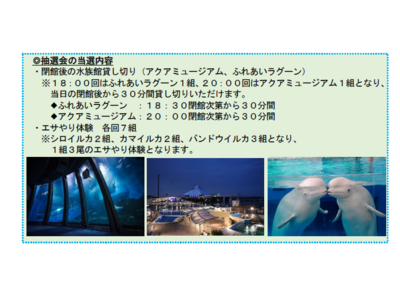 【横浜・八景島シーパラダイス】大晦日限定「スペシャルイルカショー」開催！松浦航大さんの歌まねパフォーマンスとの共演!!ドルフィンフェス２０２２【１２月３１日（土）限定開催】