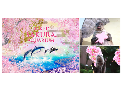 【マクセル アクアパーク品川】満開の桜アートに魅せられる、海の世界のお花見へ「ＮＡＫＥＤ ＳＡＫＵＲＡ ＡＱＵＡＲＩＵＭ」２０２３年３月４日（土）～４月２３日（日）