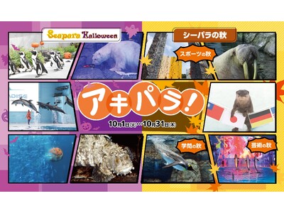 【横浜・八景島シーパラダイス】“ハロウィン”や“秋”をテーマとしたイベントが盛りだくさん！「アキパラ！ 」開催【２０２４年１０月１日（火）～３１日（木）】