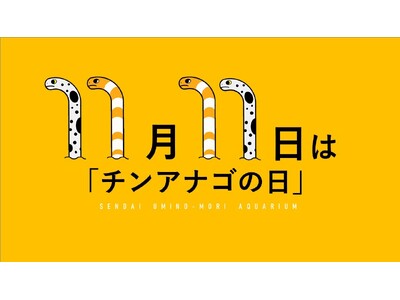 【仙台うみの杜水族館】水族館の隠れた人気者！１１月１１日は…チンアナゴの日【２０２４年１１月１日（金）～１１月１１日（月）】