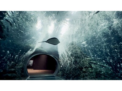 【上越市立水族博物館 うみがたり】雪のようなバブルに包まれる「冬」の特別体験！『舞鰯シャイニリュージョン...