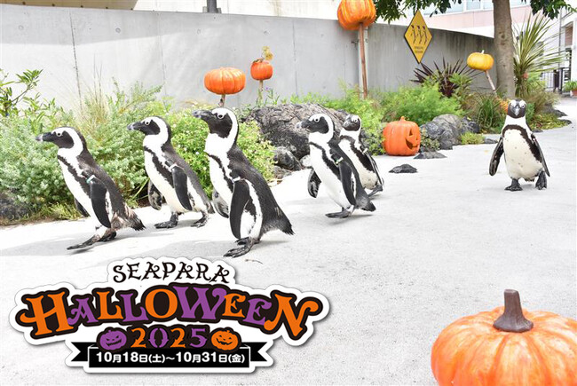 【横浜・八景島シーパラダイス】ハロウィンをテーマとしたイベントやフードをご用意！『SEAPARA HALLOWEEN ２０２５』【２０２５年１０月１８日（土）～１０月３１日（金）】