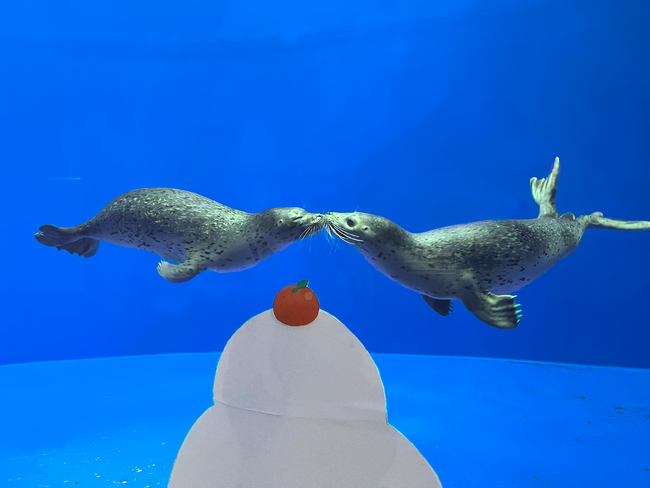 【上越市立水族博物館 うみがたり】３日間限定！「鏡開き」にちなみ飼育スタッフがトーク『アザラシのおはなし』【２０２６年１月１０日（土）～１月１２日（月・祝）】