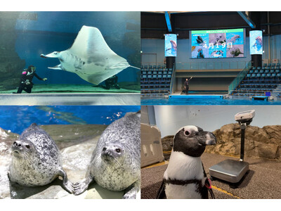 【マクセル アクアパーク品川】“飼育の日(４月１９日)”をきっかけに、水族館のヒミツをのぞいてみよう！飼...