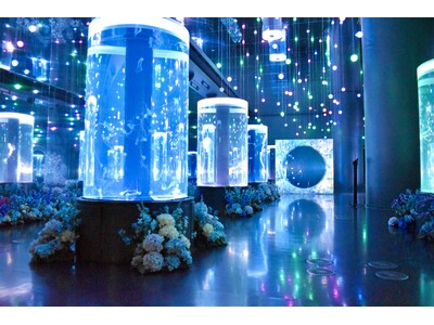 【マクセル アクアパーク品川】気温が高まる季節に、初夏の花々が涼やかに彩るイベントを開催！花のプロフェッ...