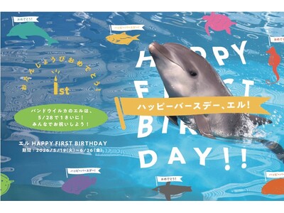 【仙台うみの杜水族館】うみの杜初のバンドウイルカの赤ちゃん、ついに１才！『エル HAPPY FIRST BIRTHDAY』【２０２６年５月１９日（火）～２０２６年６月２６日（金）】