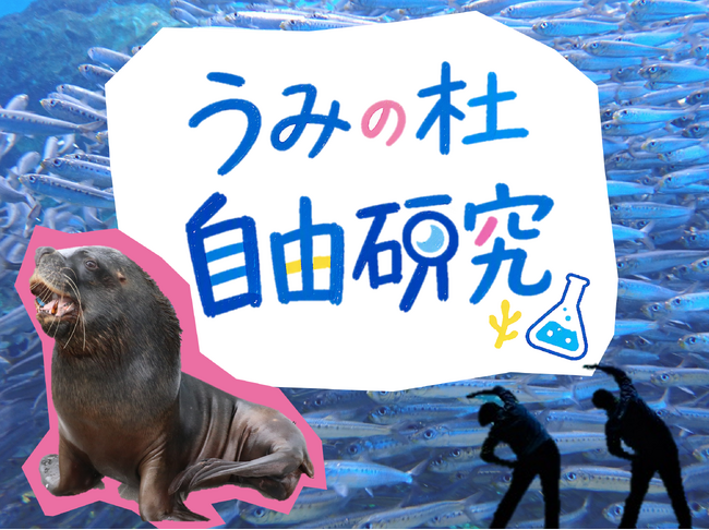 【仙台うみの杜水族館】不思議がいっぱいの海にまつわる知識を学べる体験目白押し『うみの杜自由研究』【2026年7月18日(土)~8月23日(日)】