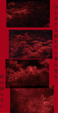 【東條會館写真研究所】井上佐由紀「はじまりと終わりに見る色を、私は知らない」＜2025年10月31日（金）～12月21日（日）＞