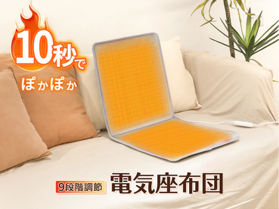 �₽���֎q������ �\ �u�d�C���z�c�v2025�N���f��