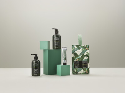 2026.3.12 debut 爽やかな木々の緑、心地よく感じる爽やかな香りのボディウォッシュ＆ミルクが登場