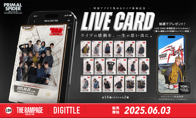 d116250-17-