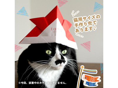 《tama》猫用サイズの「折り紙かぶと」プレゼント