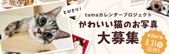 《tama》「とびきり、かわいい！」猫の写真大募集