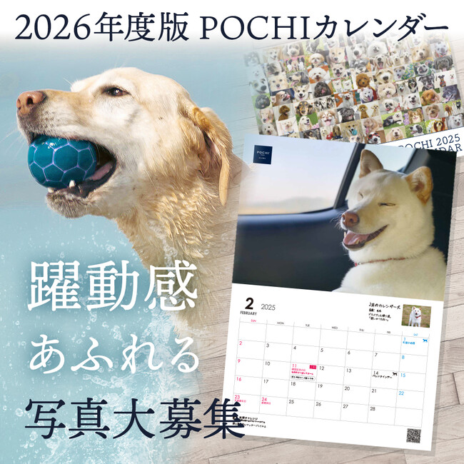 《POCHI》ウチの子（犬）の躍動感あふれる写真を大募集！