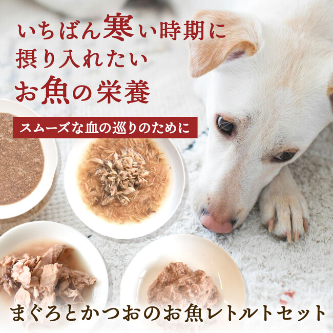 《POCHI》「まぐろとかつおのお魚レトルトセット」を期間限定で発売