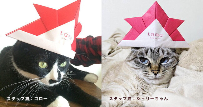 プレスリリース「【tama】猫用サイズのかわいい「折り紙かぶと」プレゼント」のイメージ画像