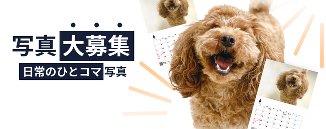 《POCHI》うちの子（犬）の“なんでもない日常のひとコマ”写真大募集！