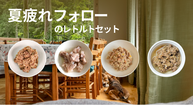 POCHI《夏疲れフォロー》疲れた体を労わるレトルトセットのご紹介