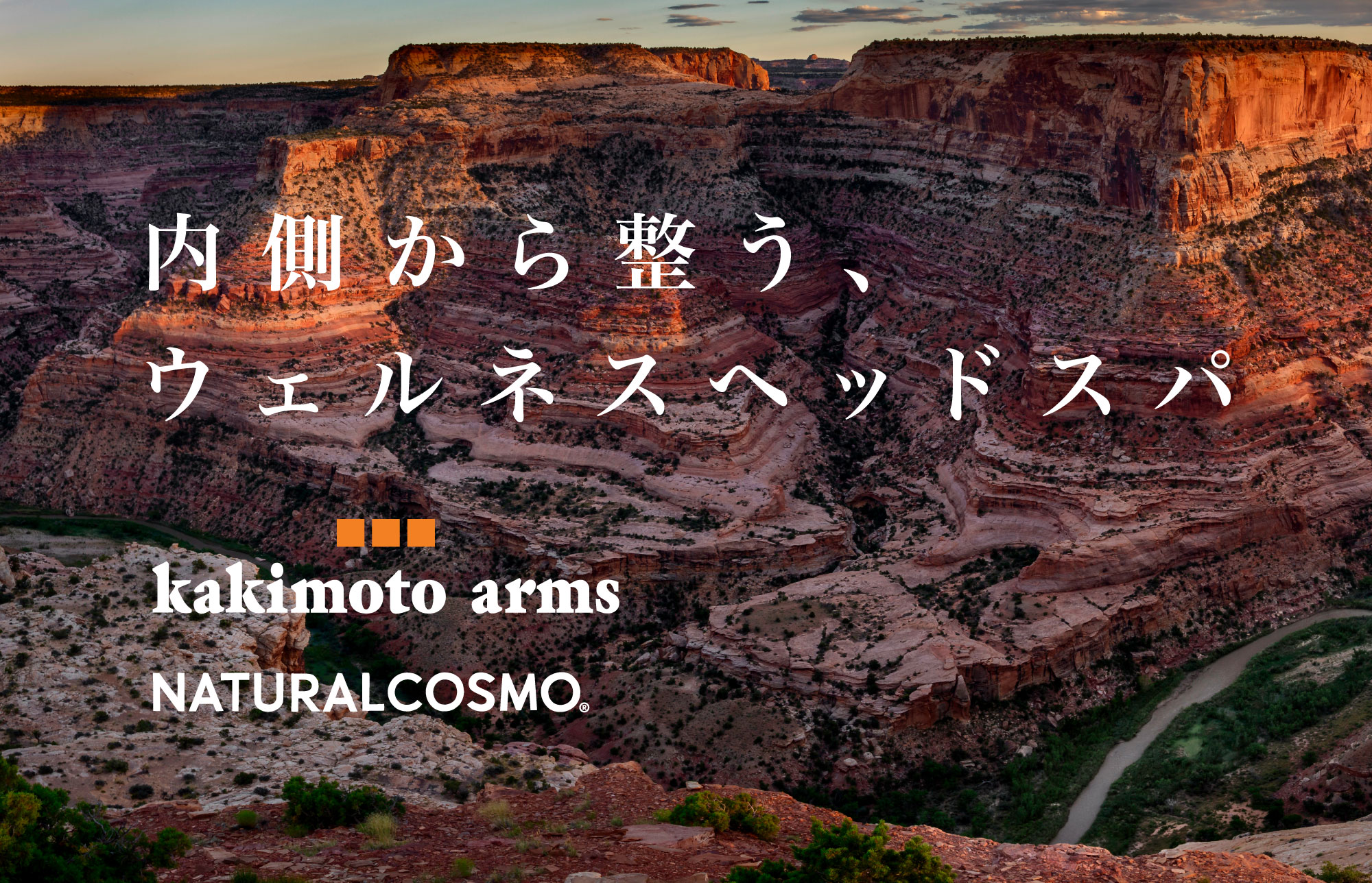 【カキモトアームズ×ナチュラルコスモ】“太古の藻＆恐竜時代の植物”で内側から整う、ウェルネスヘッドスパ！頭皮と髪に極上のご褒美を。
