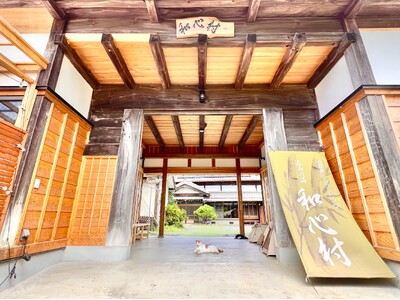 【猫の恩返し】再生数480万回超えSNSで話題、保護猫がお客様を呼ぶ招き猫になり、自然と調和するグランピ...