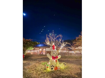 千葉　里山クリスマス 2025-2026｜クリスマス装飾とフォトスポットを展開！猫たちもクリスマスリボン...