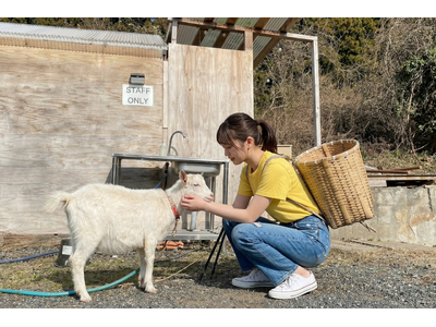 『学生限定プラン』がもたらした2月89%、3月9８%の稼働率。「便利さ」や「煌びやかさ」」よりも15匹の...
